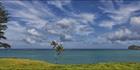Lord Howe Island - NSW H (PBH4 00 11792)